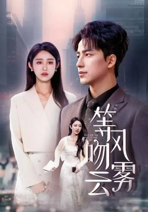 热播电视剧全集雾港迷局在线观看