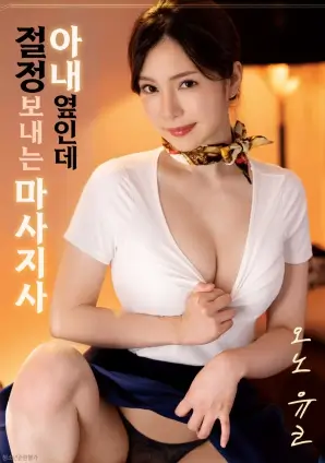 武侠高清电影风起西岭